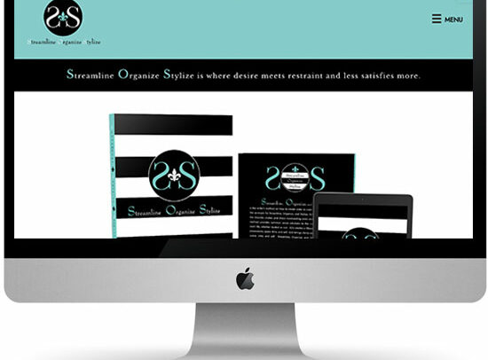 Streamline Organize Stylize website